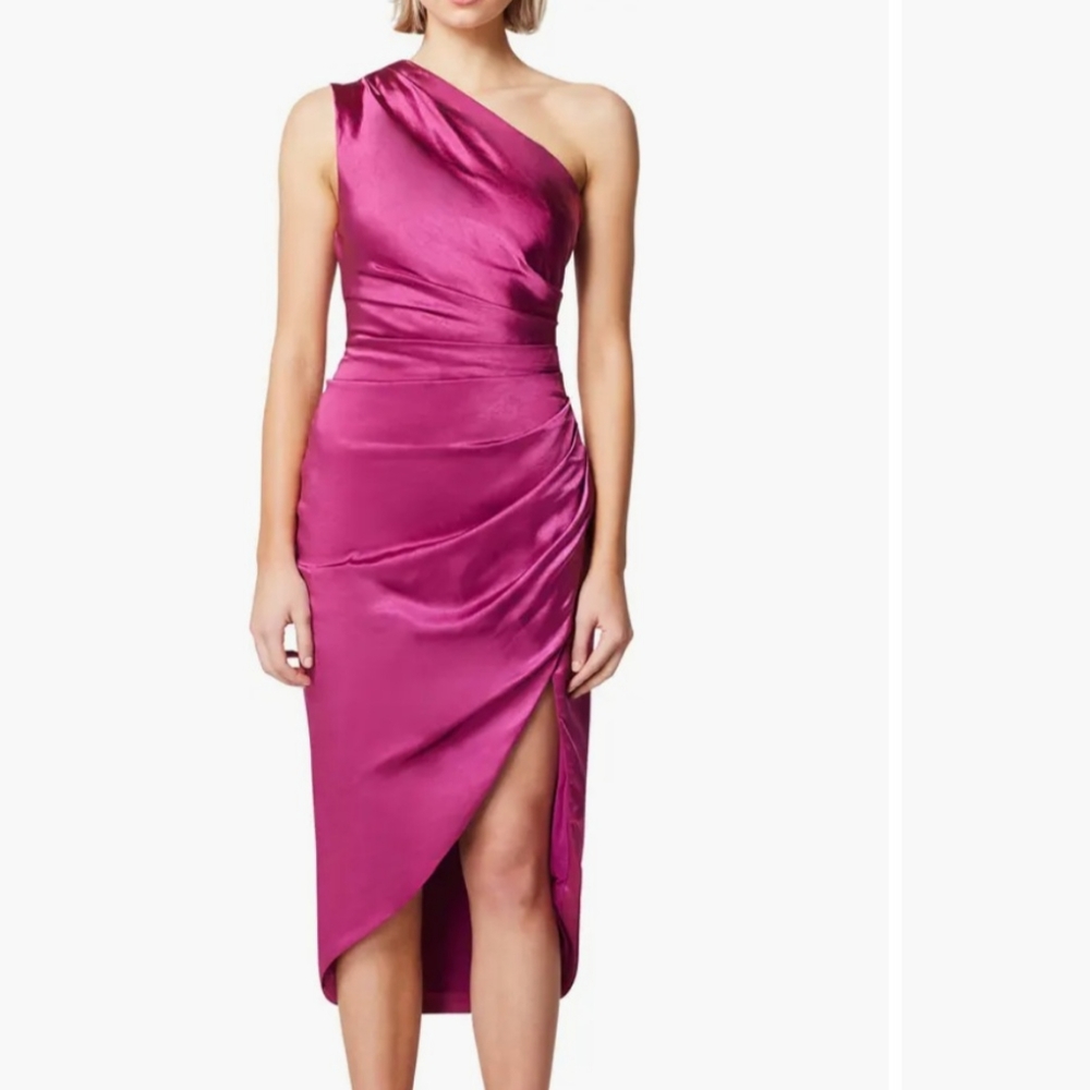 Elliatt Cassini Berry Dress Size XS
